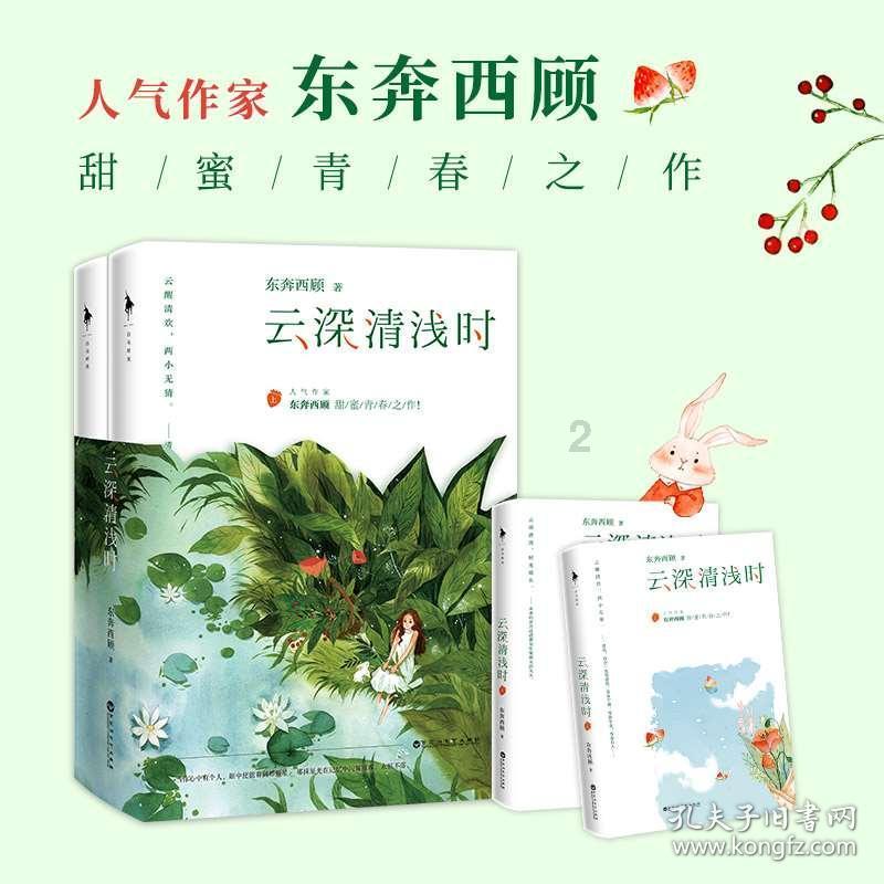 传凯雷拟以10亿美元出售荷兰技术服务公司HSO