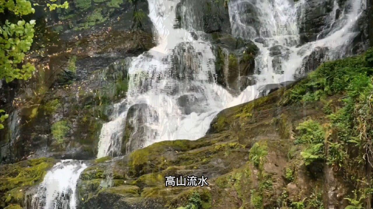 非遗传人制作高龙迎新年